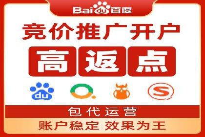 SEM托管公司案例分析：实战技巧全解析